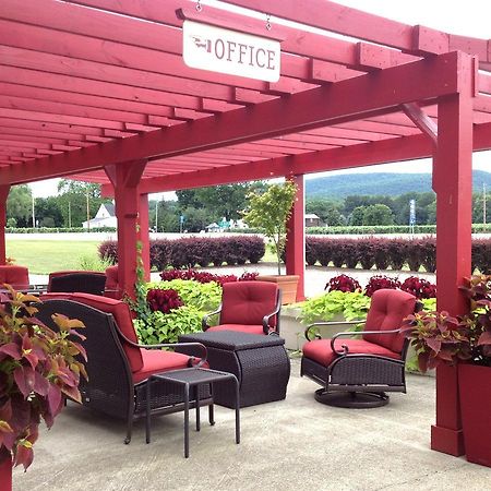Vinehurst Inn & Suites Hammondsport Exteriér fotografie